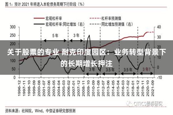 关于股票的专业 耐克印度园区：业务转型背景下的长期增长押注