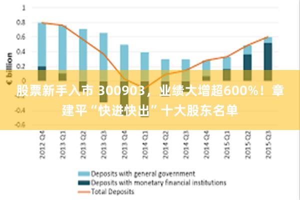 股票新手入市 300903，业绩大增超600%！章建平“快进快出”十大股东名单