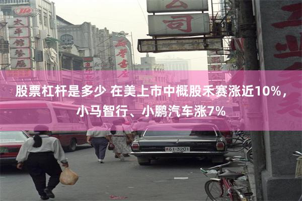 股票杠杆是多少 在美上市中概股禾赛涨近10%，小马智行、小鹏汽车涨7%
