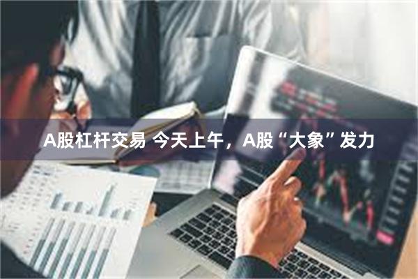 A股杠杆交易 今天上午，A股“大象”发力