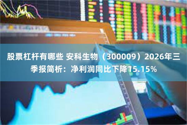 股票杠杆有哪些 安科生物（300009）2026年三季报简析：净利润同比下降15.15%