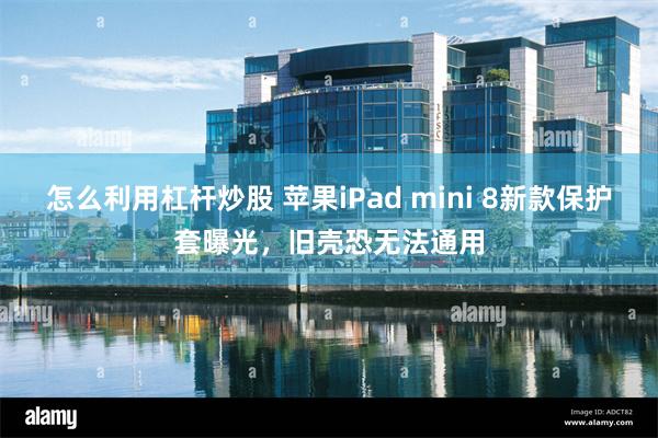 怎么利用杠杆炒股 苹果iPad mini 8新款保护套曝光，旧壳恐无法通用