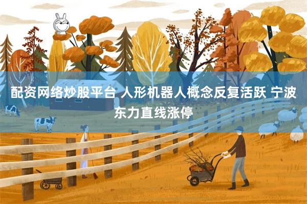 配资网络炒股平台 人形机器人概念反复活跃 宁波东力直线涨停